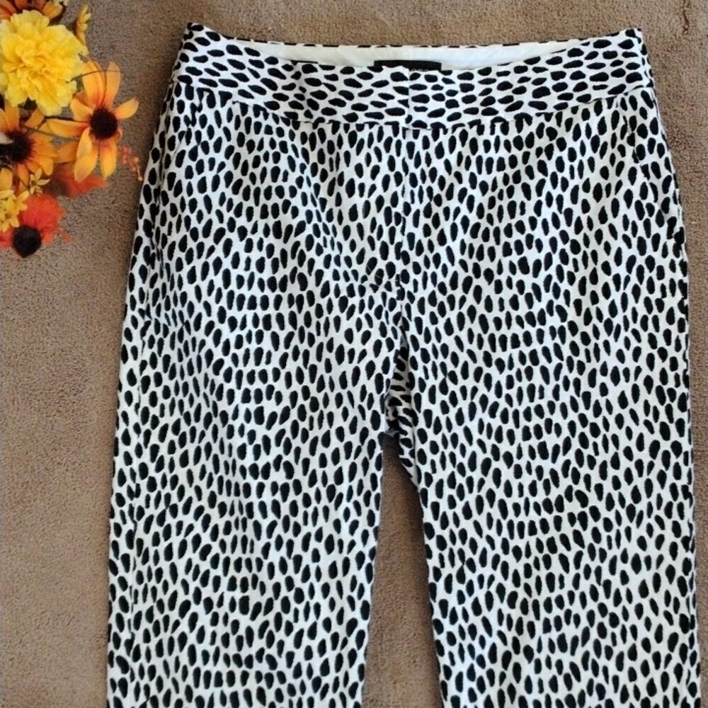 Talbots Slim Crop Pants - Picture 2 of 8